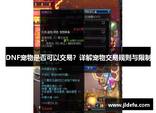 DNF宠物是否可以交易？详解宠物交易规则与限制