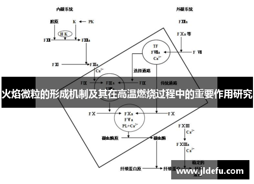 火焰微粒的形成机制及其在高温燃烧过程中的重要作用研究 火焰微粒的形成机制及其在高温燃烧过程中的重要作用研究